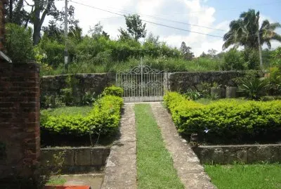 caminito viejo