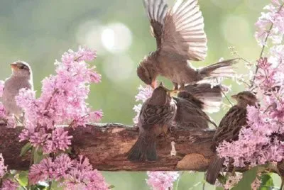 imagem jigsaw puzzle