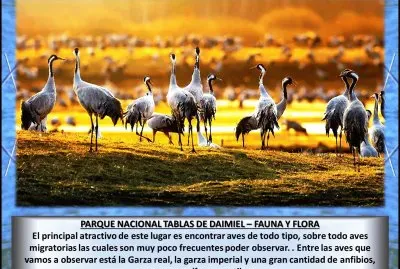 PARQUE NACIONAL TABLAS DE DAIMIEL â€“ FAUNA Y FLORA jigsaw puzzle
