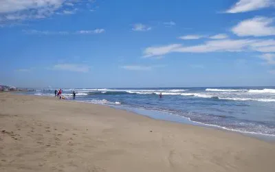 vzla