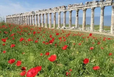 ApamÃ©e Syrie