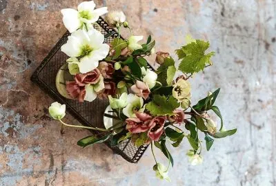 flores