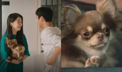 פאזל של still 17