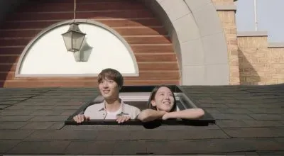 still 17 jigsaw puzzle