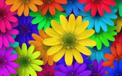 FLOWERS jigsaw puzzle