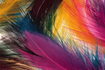 æŠ½è±¡è—è¡“