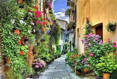 flores