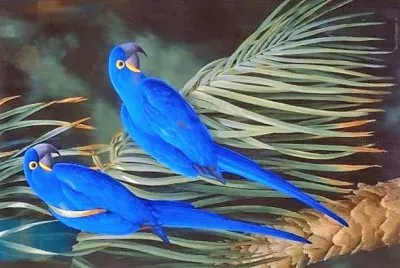 natural jigsaw puzzle