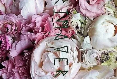 flores