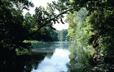 Nature jigsaw puzzle