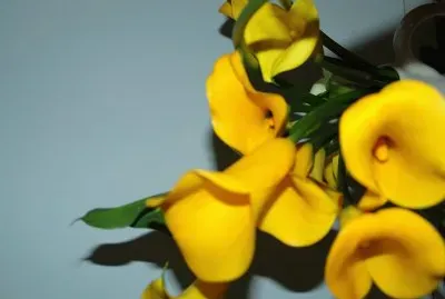 flores jigsaw puzzle