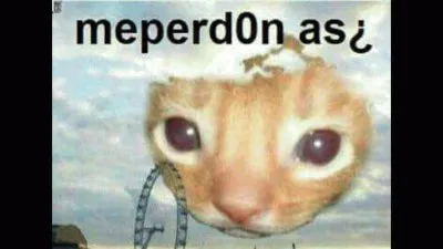 pepe123