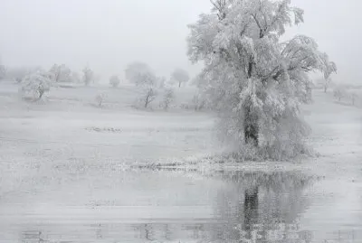 Neige 4 jigsaw puzzle