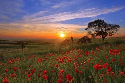 coucher de soleil