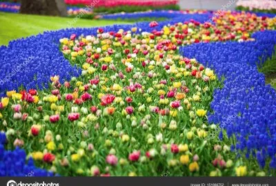 NATURALEZA