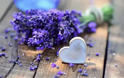 flores jigsaw puzzle