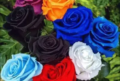 imagem jigsaw puzzle