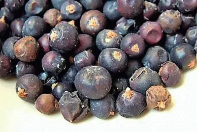 natural jigsaw puzzle