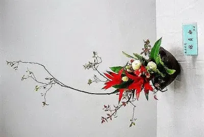 flores