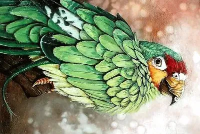 natural jigsaw puzzle