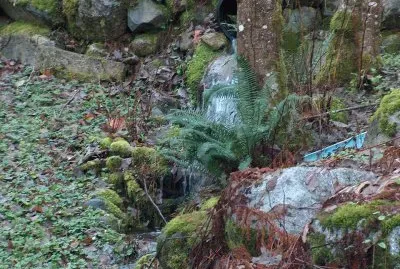 OUTDOOR NATURE jigsaw puzzle