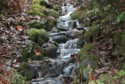 OUTDOOR NATURE