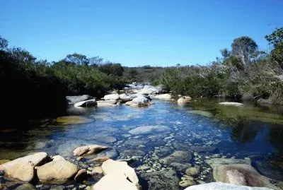 Nature
