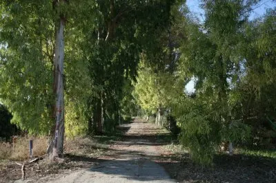 WALK IN THE PARK jigsaw puzzle