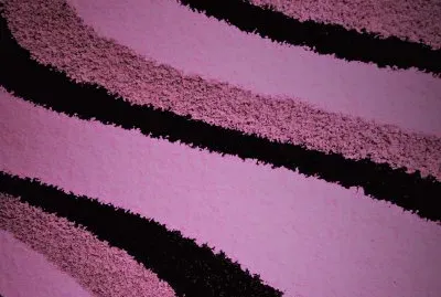 פאזל של general