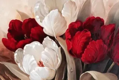 tulipani