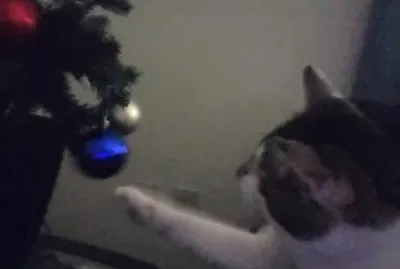 general jigsaw puzzle