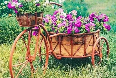 flores