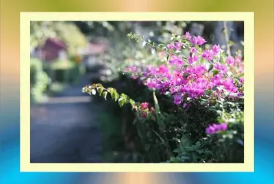 èŠ±