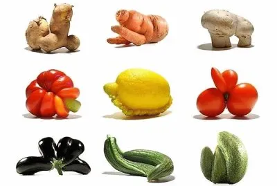 natural jigsaw puzzle