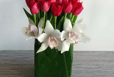 MESA TULIPAN