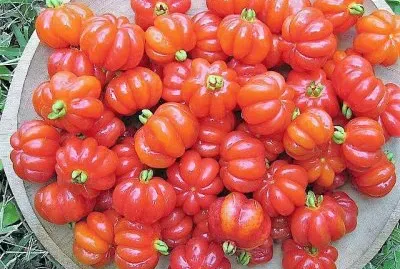 frutas jigsaw puzzle