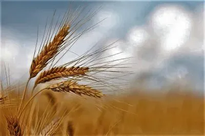 natural jigsaw puzzle