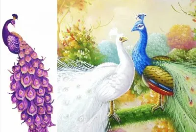 å­”é›€ç¹ª