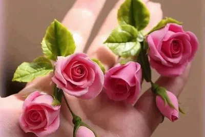פאזל של Pink roses