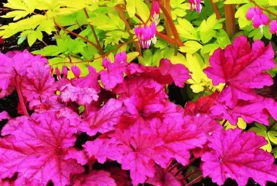 natural jigsaw puzzle