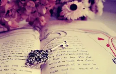 פאזל של la llave de mi libro