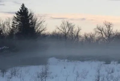 Fog on a snowy morning!   'magine that!