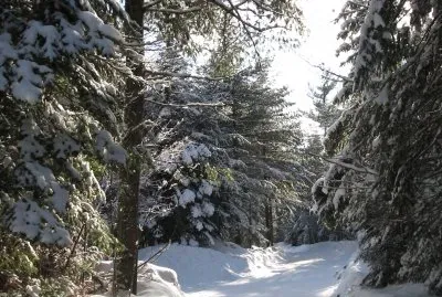 Lots of beautiful trails! jigsaw puzzle