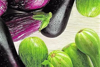 natural jigsaw puzzle