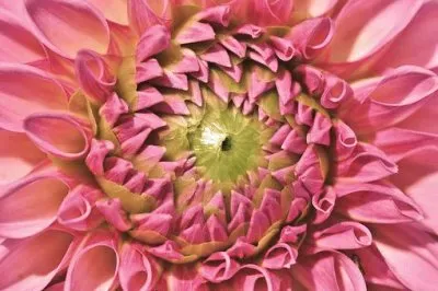 Imagem jigsaw puzzle