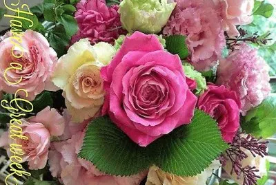 flores