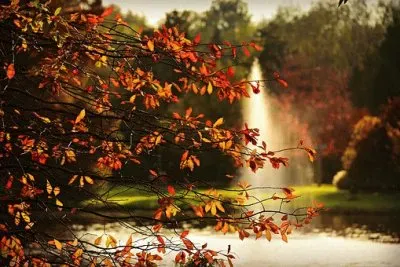 פאזל של Imagem