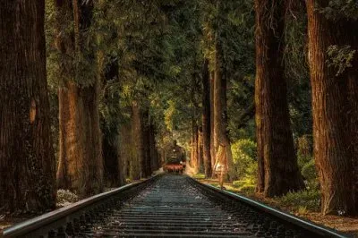 Imagem jigsaw puzzle