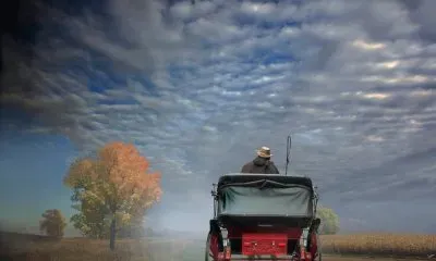 פאזל של imagem