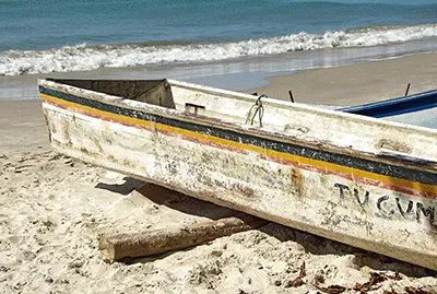 tucumÃ£ jigsaw puzzle